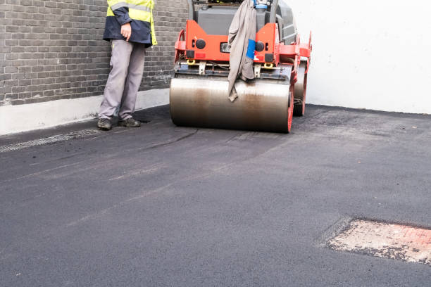 Best Driveway Pressure Washing  in Black Forest, CO